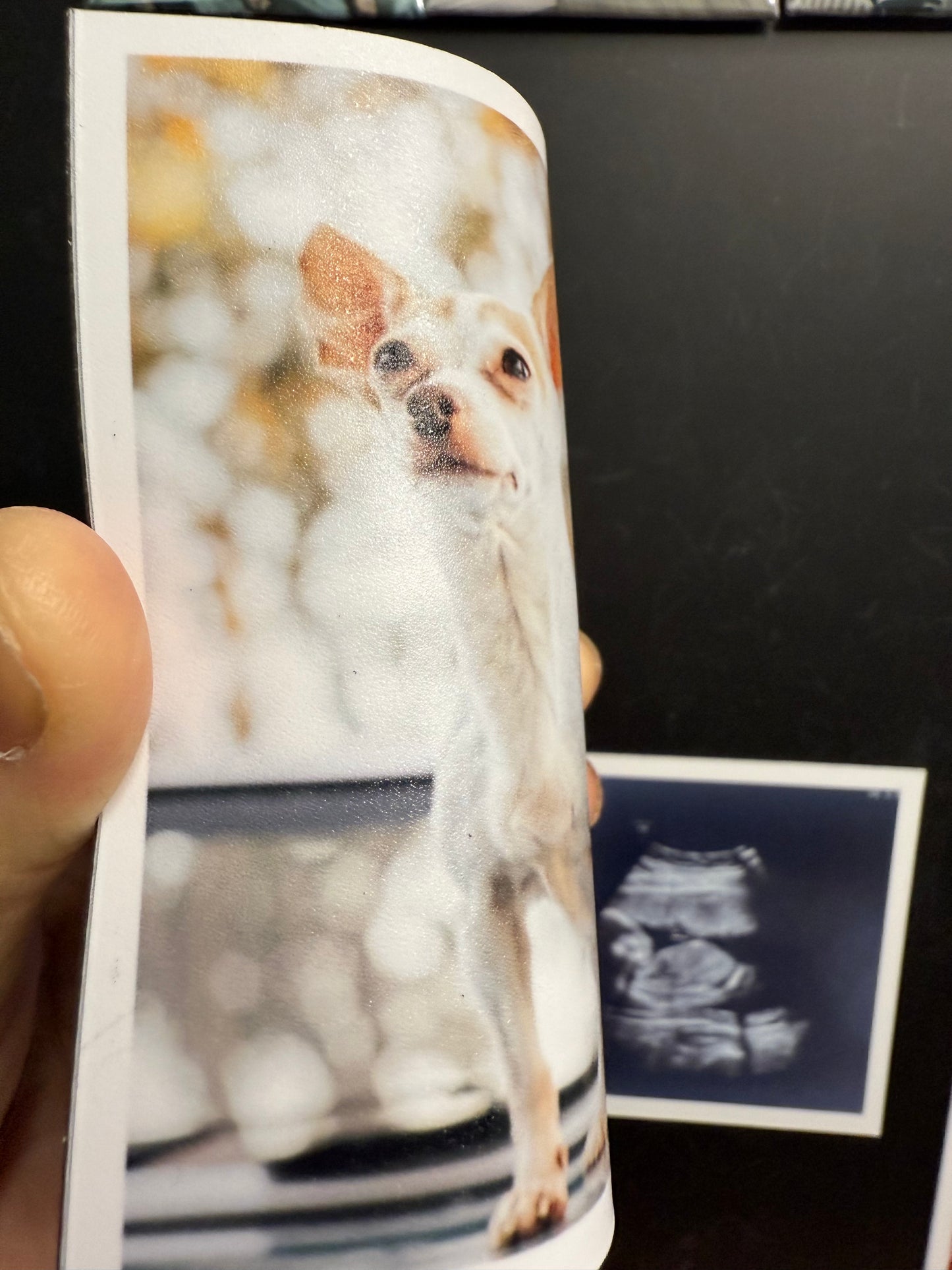 Medium Flexible Magnets