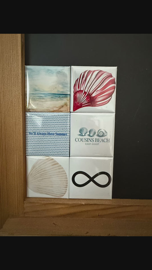 TSITP Set of 6 Magnets